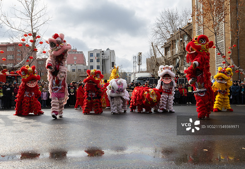 舞狮表演图片素材