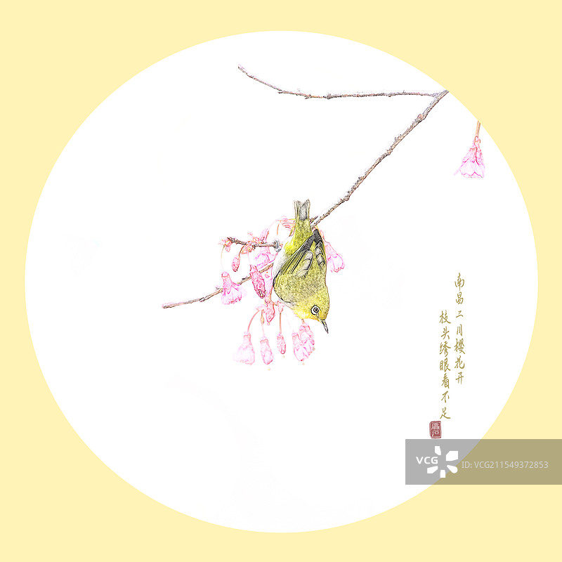 樱花枝头绣眼来图片素材