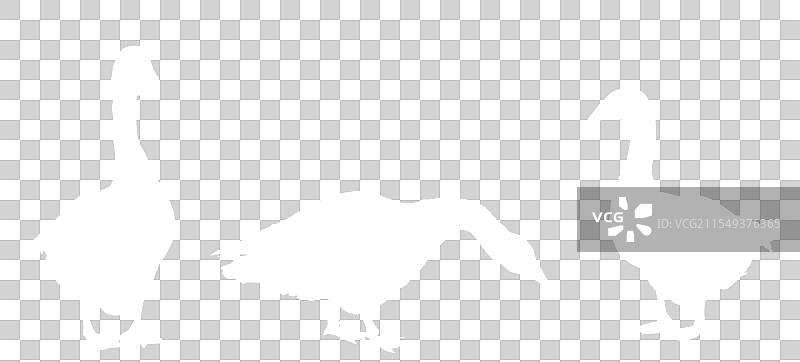 家庭鹅群剪影图片素材