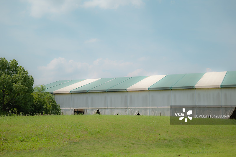 蓝天绿草图片素材