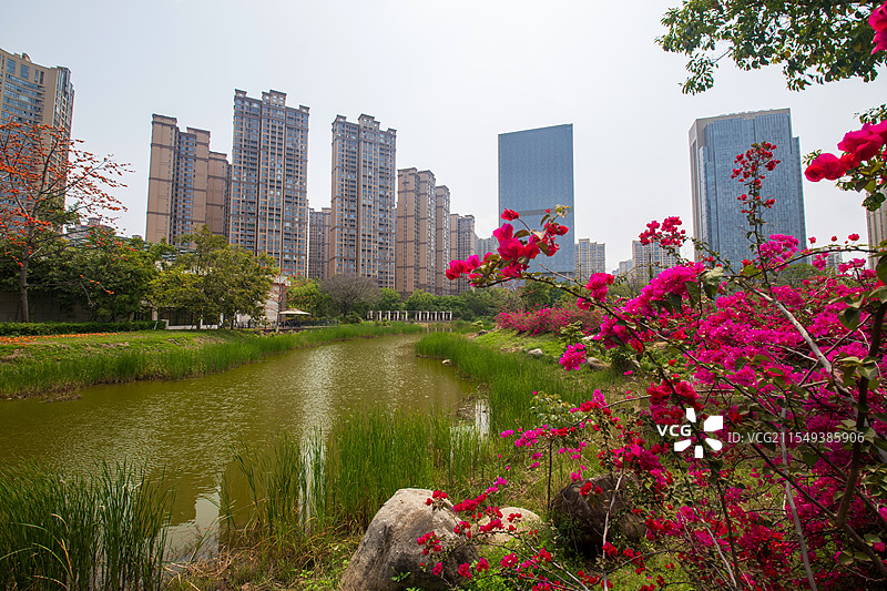 清明时节的泉州江南新区公园花团锦簇图片素材