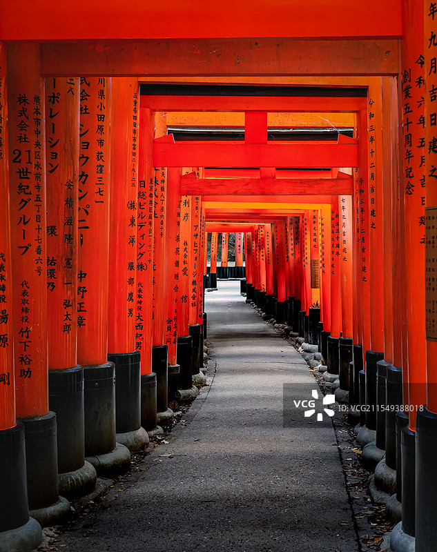 千本鸟居图片素材