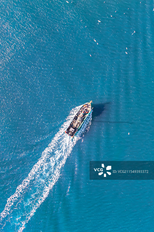 我在大连追小船图片素材