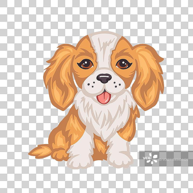 可爱的查尔斯王小猎犬图片素材