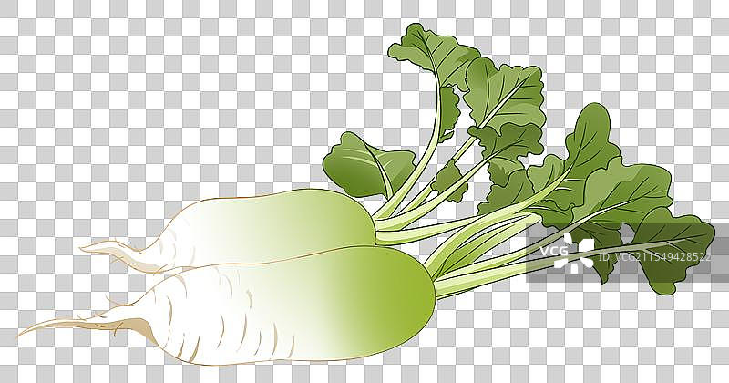 美食食物食材饮食农作物蔬菜萝卜卡通元素素材资讯插画图片素材