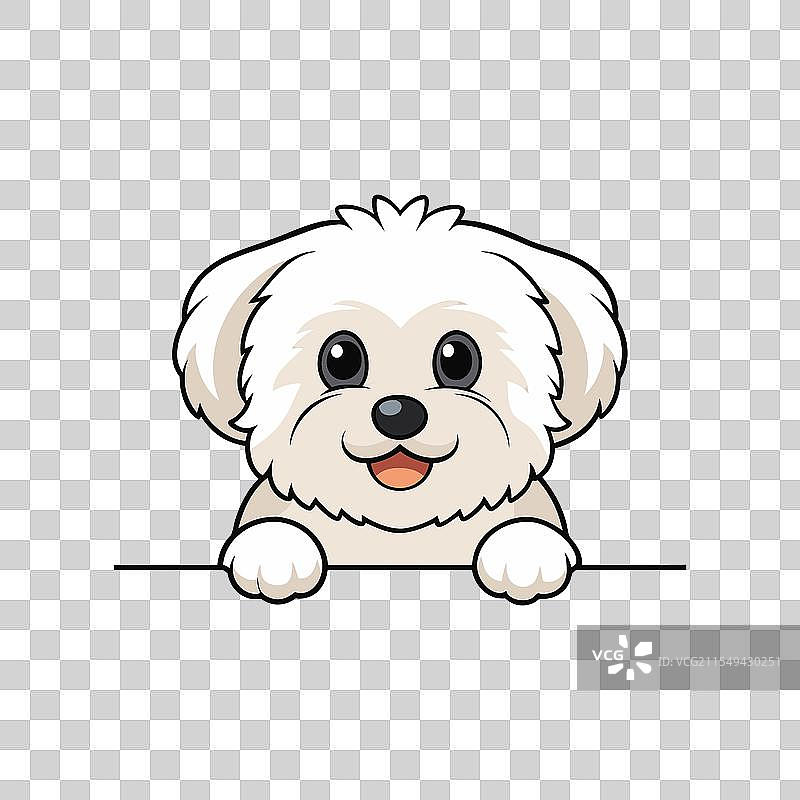 可爱的窥视比熊犬SVG图案图片素材