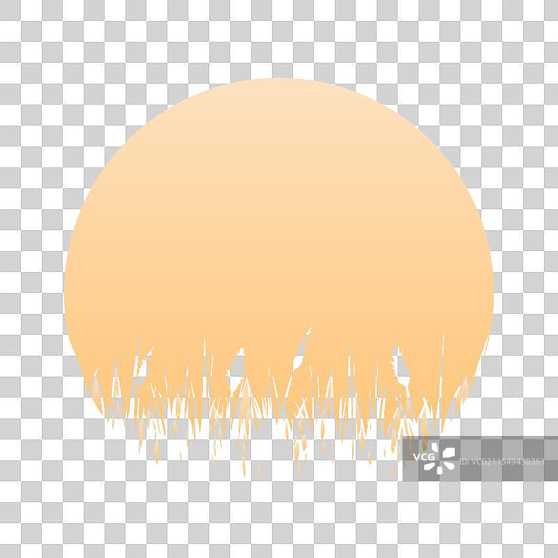 月光下的约克夏犬剪影图片素材