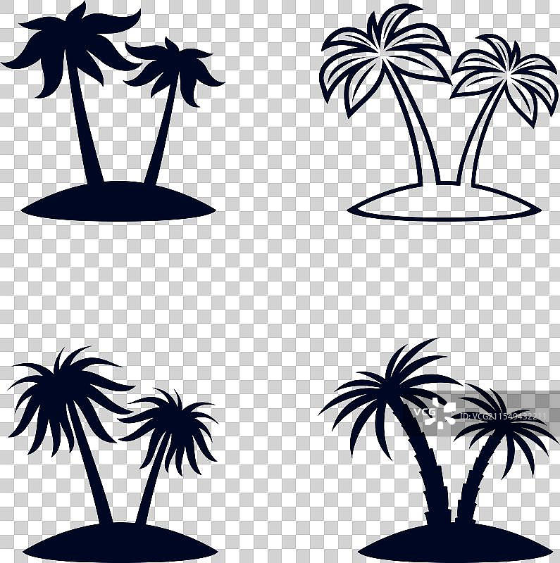 热带棕榈树图片素材