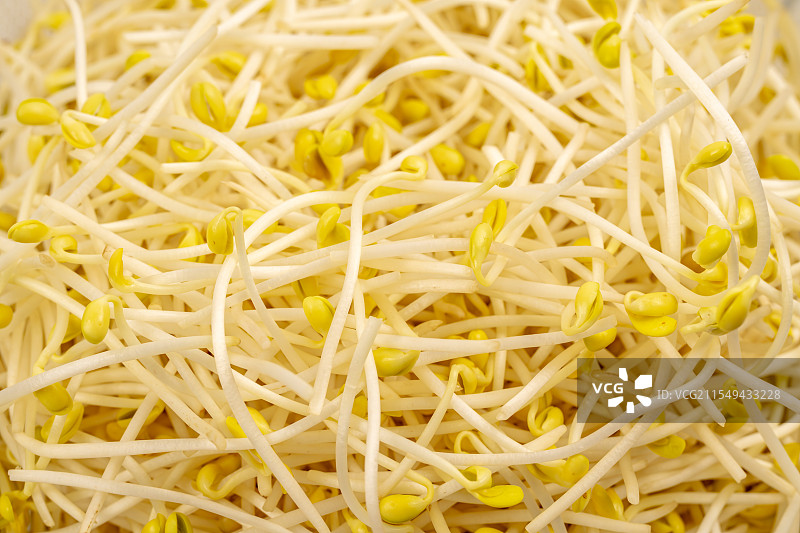 蔬菜-黄豆芽图片素材