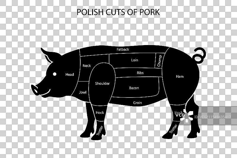 波兰猪肉切割图示及标签图片素材