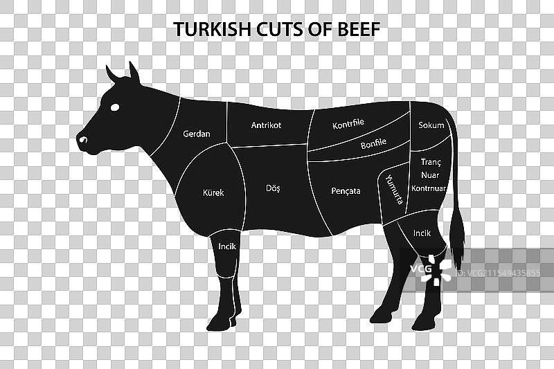 土耳其牛肉切割图在牛的轮廓上图片素材