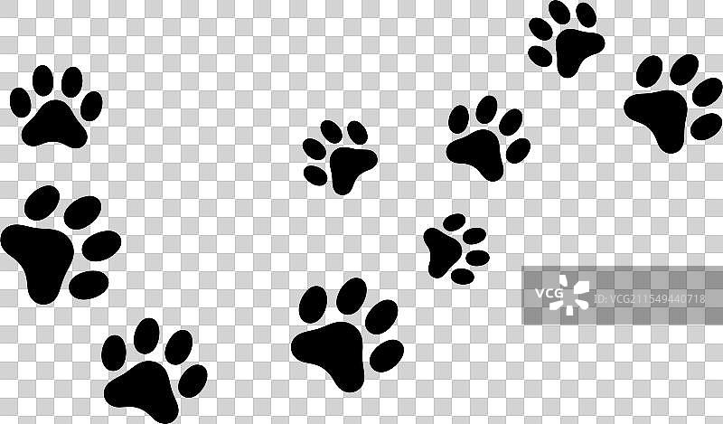 现代宠物产品的爪子设计趋势图片素材