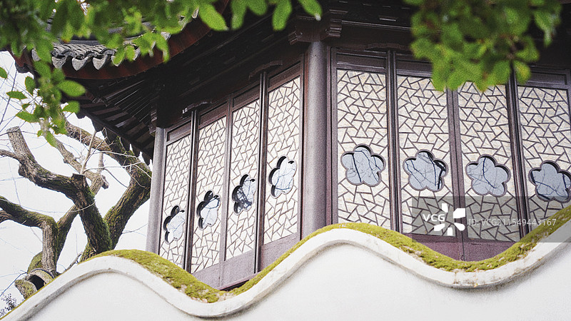 贝壳花窗图片素材