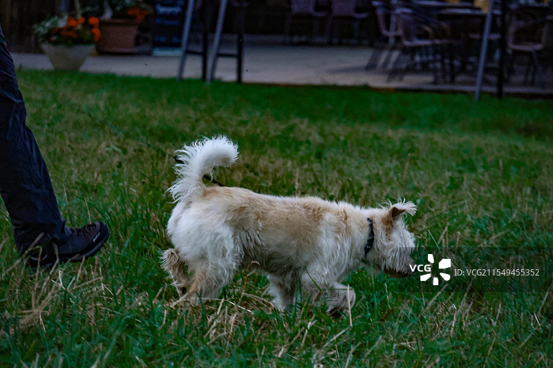 瑞士，上瓦尔登州图片素材