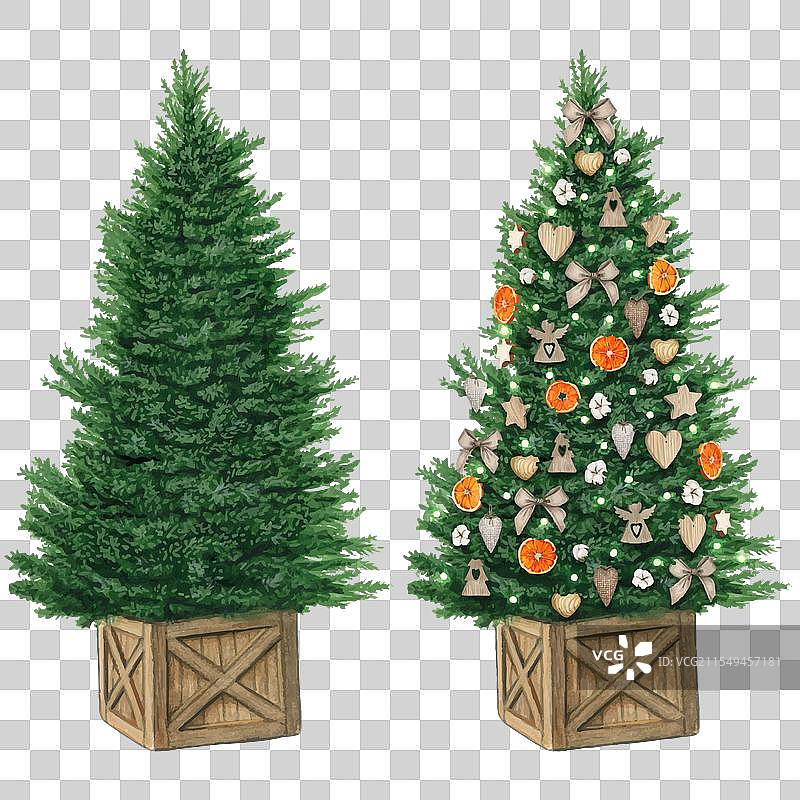 手绘水彩圣诞树图片素材