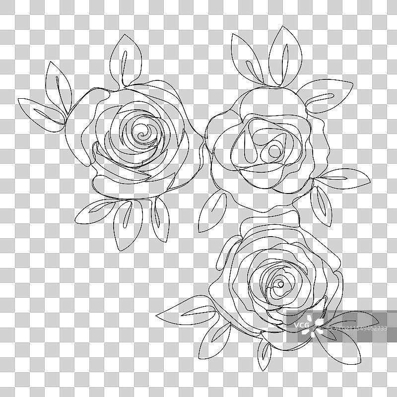 孤立的美丽黑白玫瑰图片素材