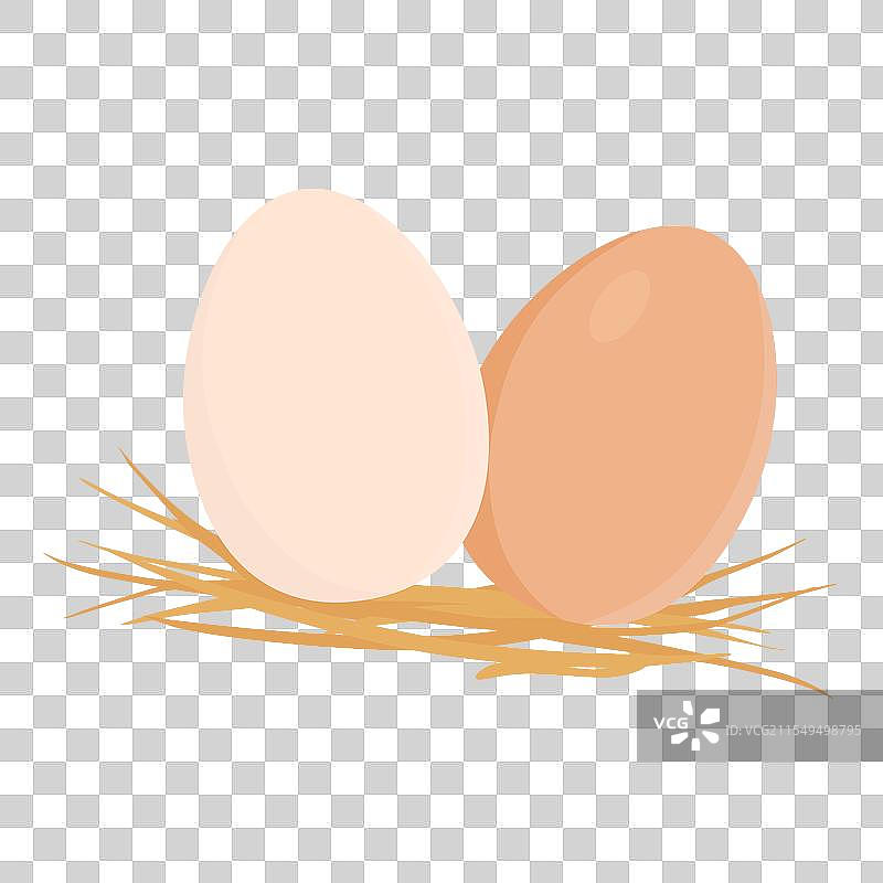 新鲜的鸡蛋在稻草上，背景为白色图片素材