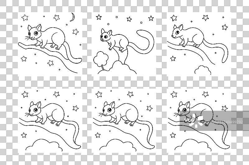 一只顽皮的飞狐从一根树枝滑翔而下图片素材