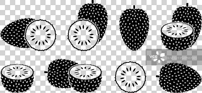 刺果番荔枝图片素材