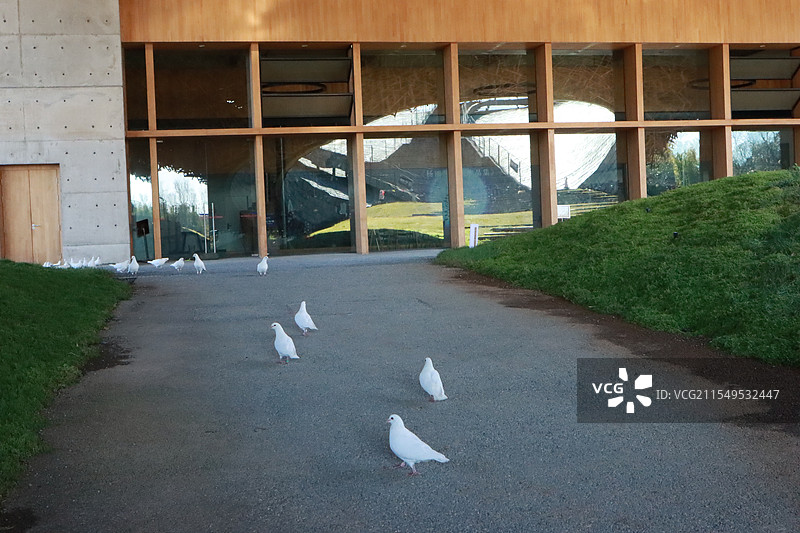 云南大理杨丽萍大剧院图片素材