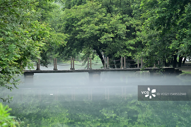 森林里的小桥流水图片素材