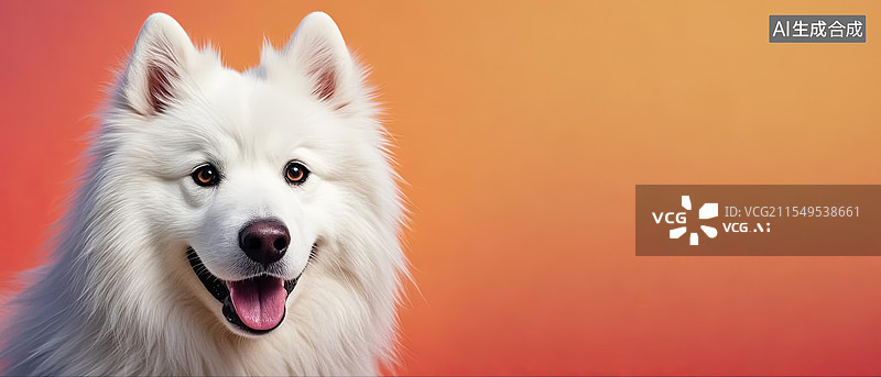 【AI数字艺术】萨摩耶犬动物宠物主题海报设计模板背景图图片素材