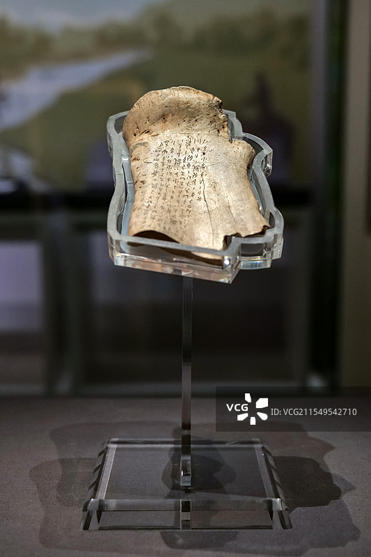 “月一正曰食麦”干支表刻辞胛骨 出组二类刻辞 山东博物馆“此刻华夏-殷商甲骨文展”图片素材