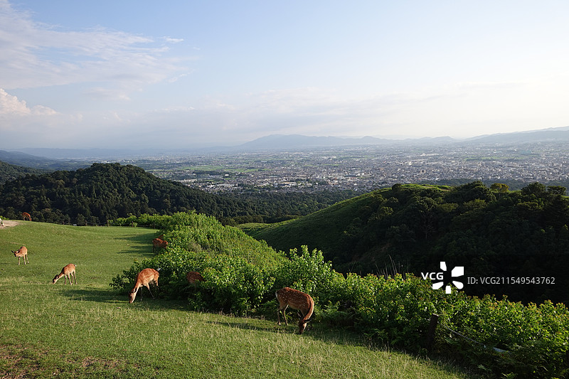 奈良若草山顶图片素材