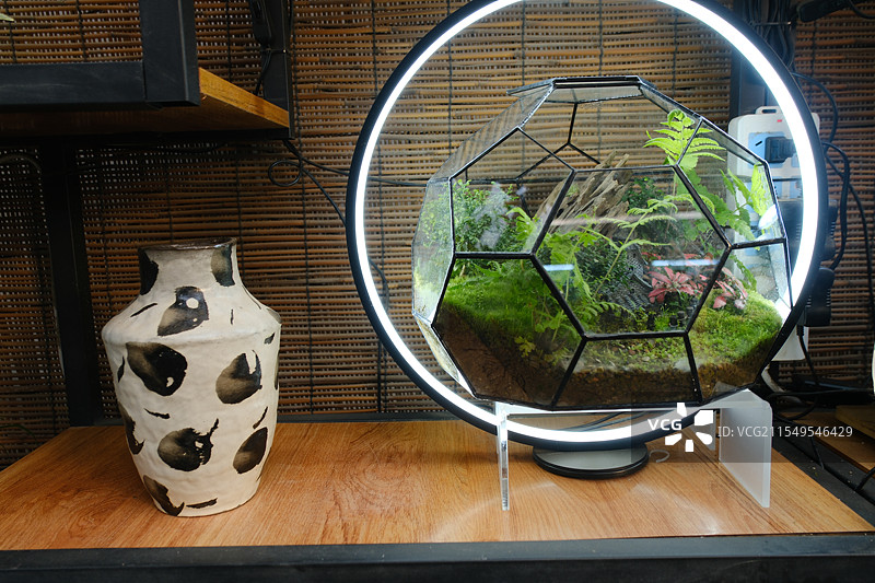 微景观。生态瓶。生态缸。春节。新年花卉市场漂亮的花们特写图片素材