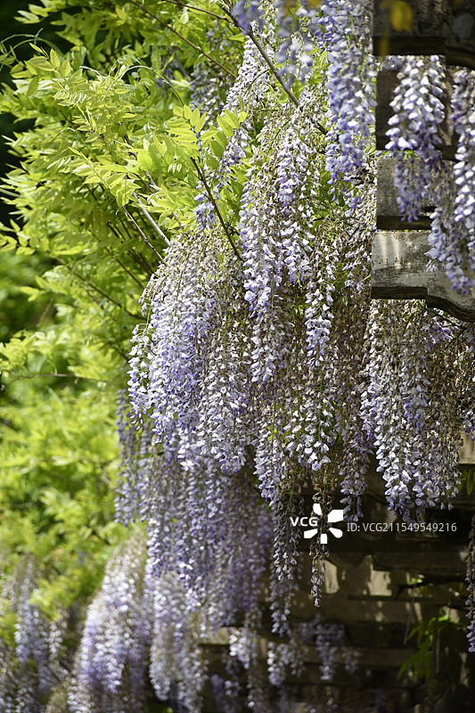 南京中山陵音乐台图片素材