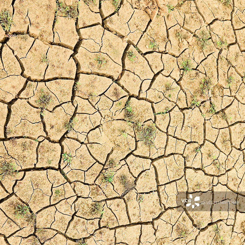 惊蛰-生命的力量图片素材