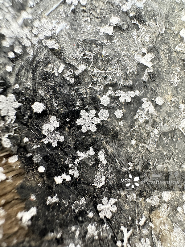 雪花微距图片素材