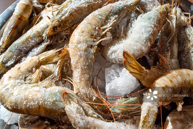 冰冻海鲜黑虎虾籽虾图片素材