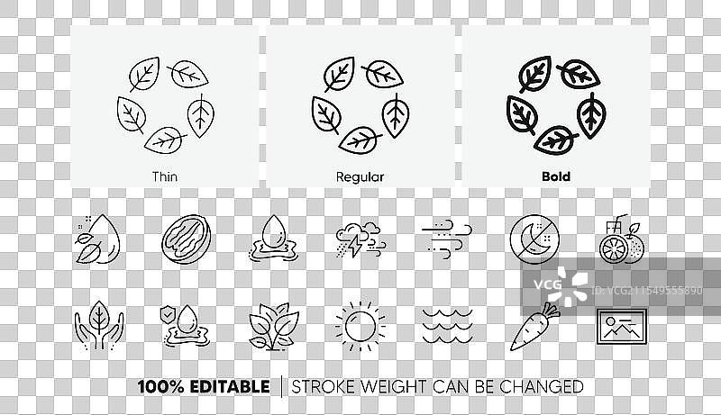 有机胡萝卜经过检测，阳光明媚的天气线图片素材