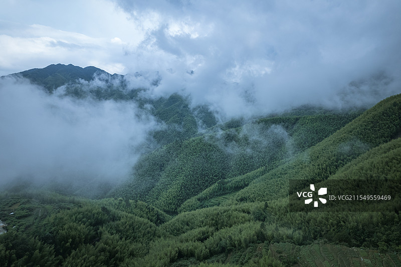 信宜市平塘镇马安竹海雨雾天气图片素材