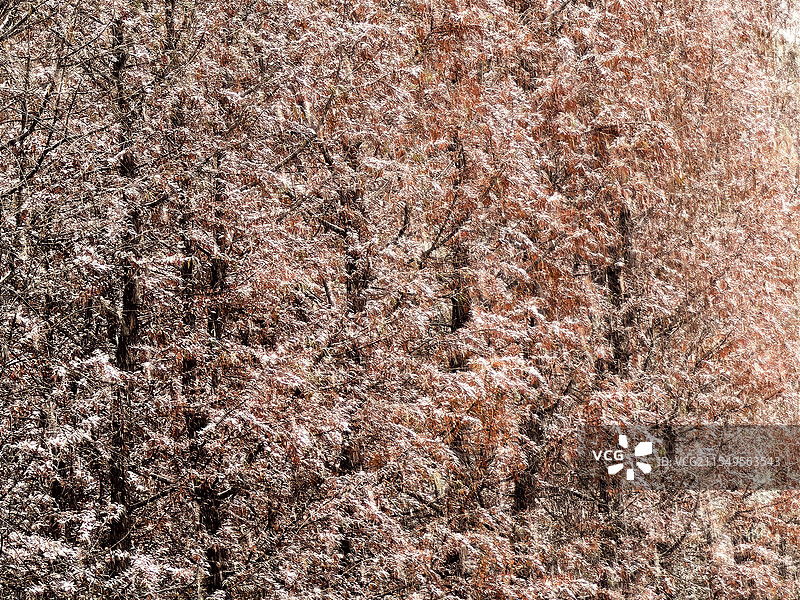昆明呈贡初雪图片素材