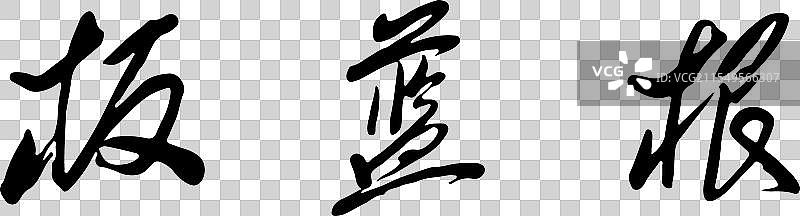 板蓝根图片素材