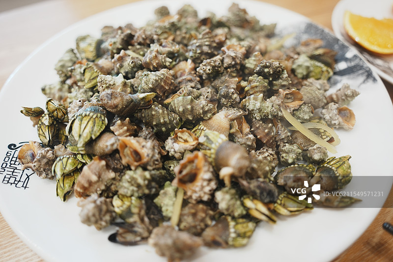 苦螺特写图片素材