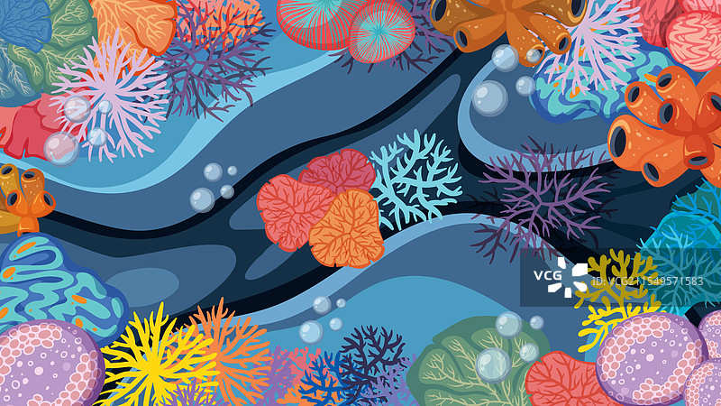 五彩斑斓的珊瑚和海洋生物在生机勃勃的海洋中图片素材
