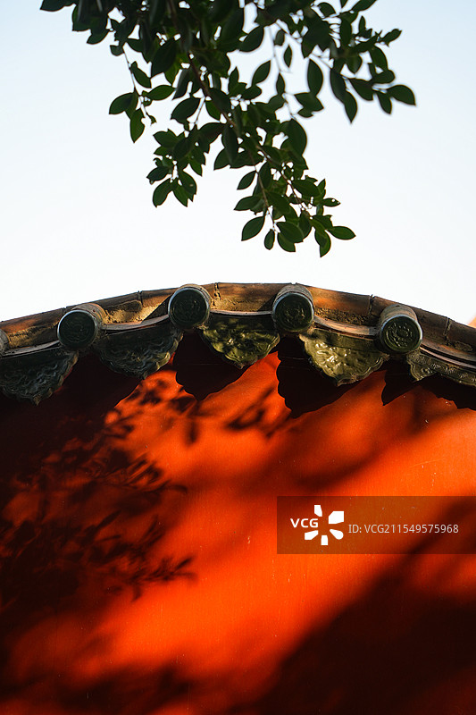 午后西园寺斑驳的红墙图片素材