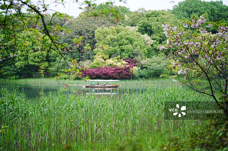 杭州西湖 乌龟潭 春日图片素材