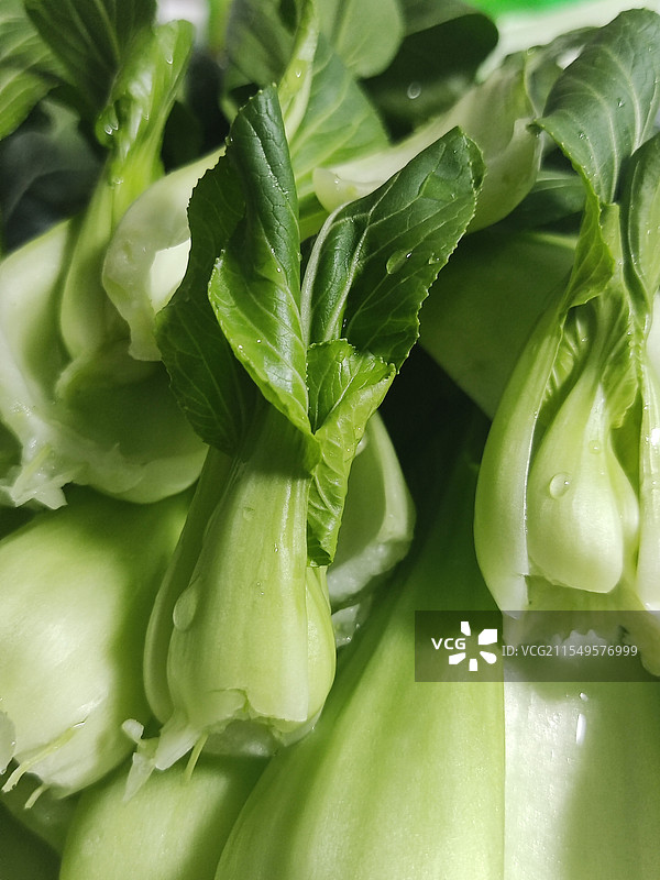 青翠欲滴的蔬菜图片素材