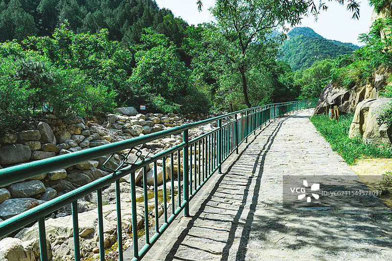 中国非都市风光拍摄主题，山东泰安泰山区玉泉寺泰山风景区，绿色的松树林和羊肠小道，户外白昼无人图像摄影图片素材