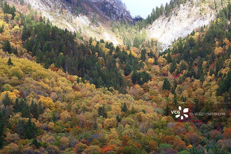 九寨沟秋日盛景图片素材