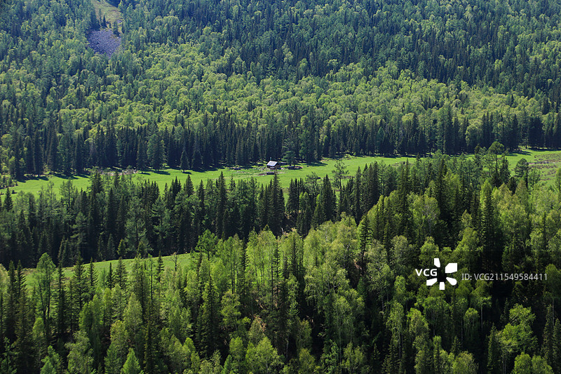 新疆阿勒泰地区喀纳斯景区Ⅰ图片素材