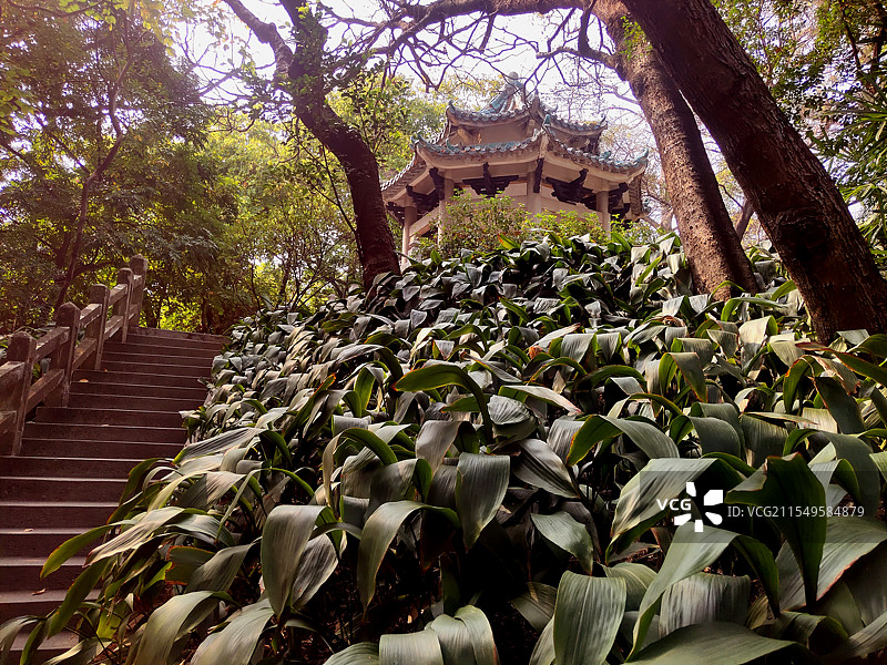 2025年2月广州市级文物保护单位—海员亭风情图片素材