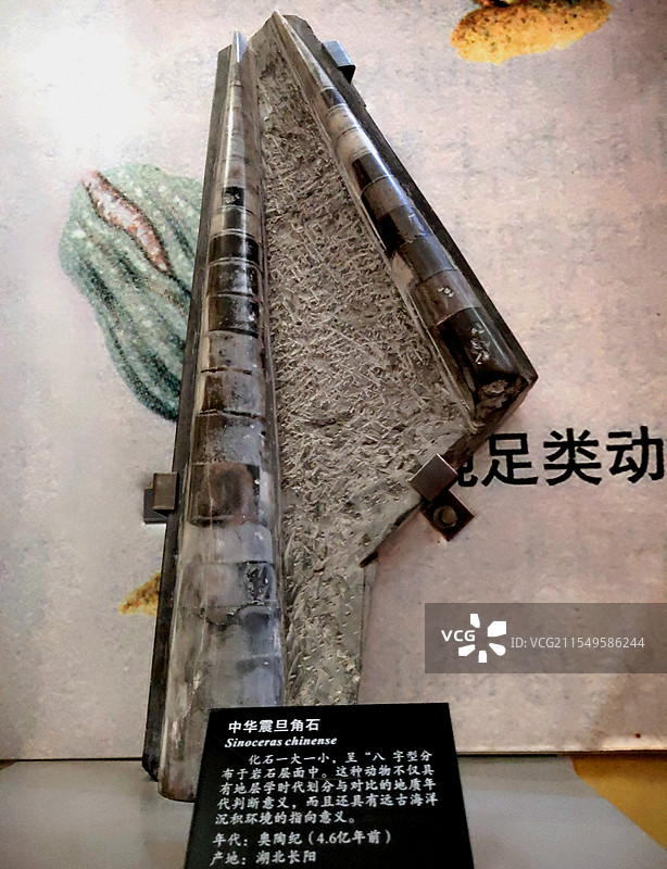 2025 年2月广州博物馆自然科学馆风情图片素材