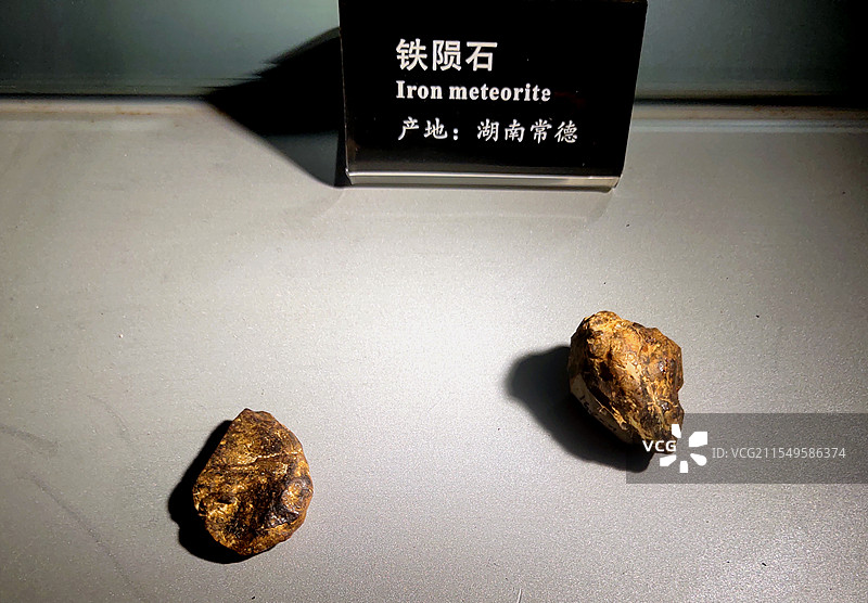 2025 年2月广州博物馆自然科学馆风情图片素材