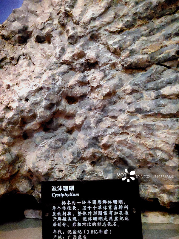 2025 年2月广州博物馆自然科学馆风情图片素材