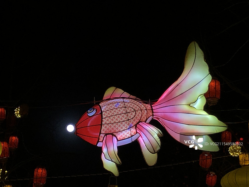 北京同庆街元宵灯会-灯笼鱼吹圆月图片素材
